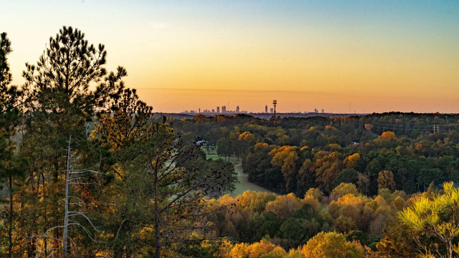 Henry County, Georgia treetops at sunset with the Atlanta skyline on the horizon