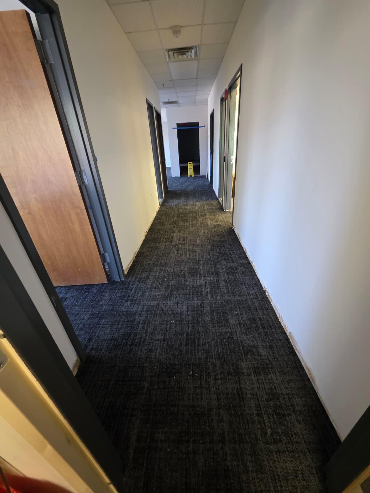 Office corridor with new carpet tile run wall-to-wall between framed openings and doors.